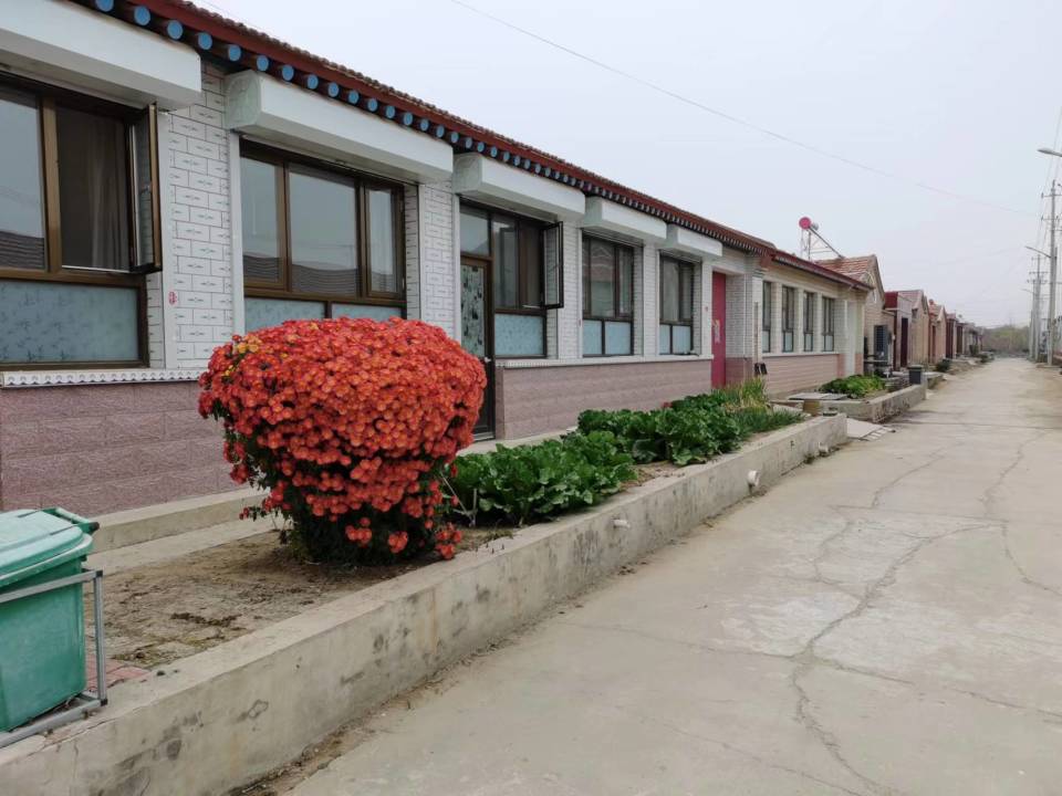 当村委会成为"遗产管理人"