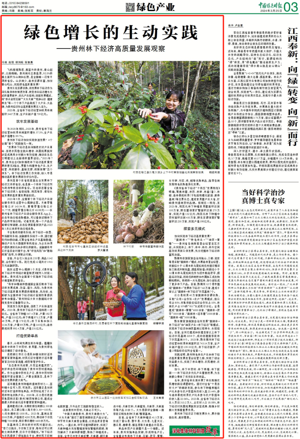 编辑:蔡鸿涛初审:李燕