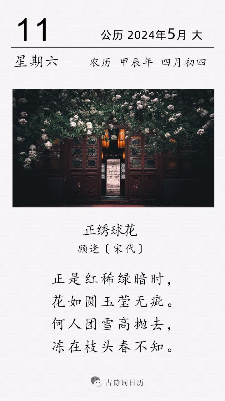 表达了诗人对于绣球花的喜爱与赞美