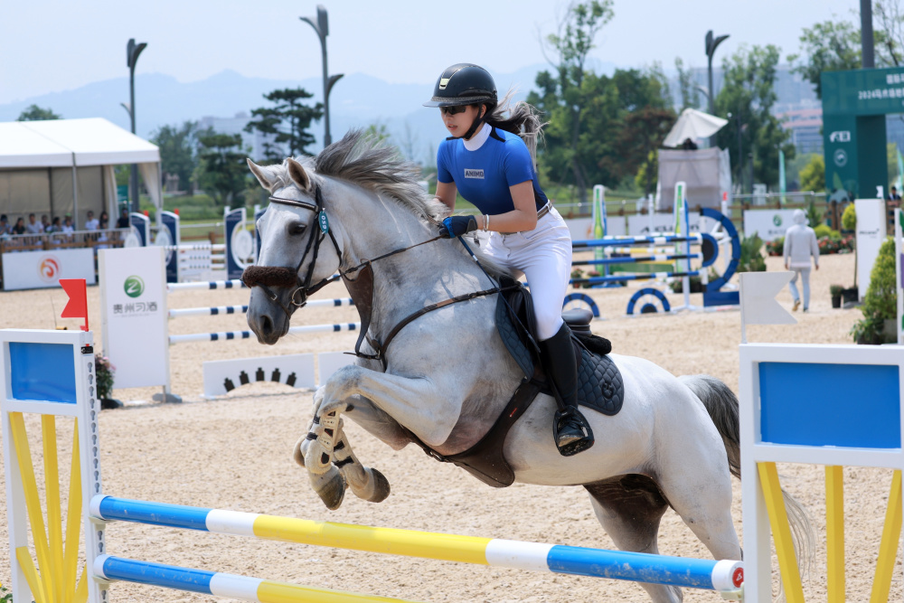 时隔五年成都再迎国际星级赛事 119名国内外"骑士"龙泉赛马