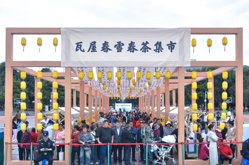 四川洪雅30万亩春茶陆续上市新增7款新品