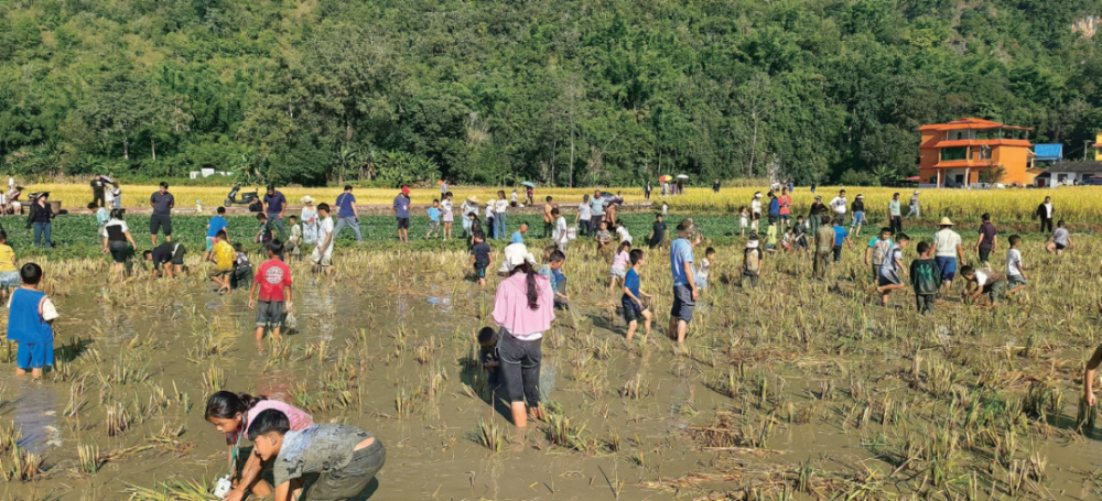 点赞云南省农文旅融合发展参考案例七十九临沧市耿马县勐撒镇芒见村
