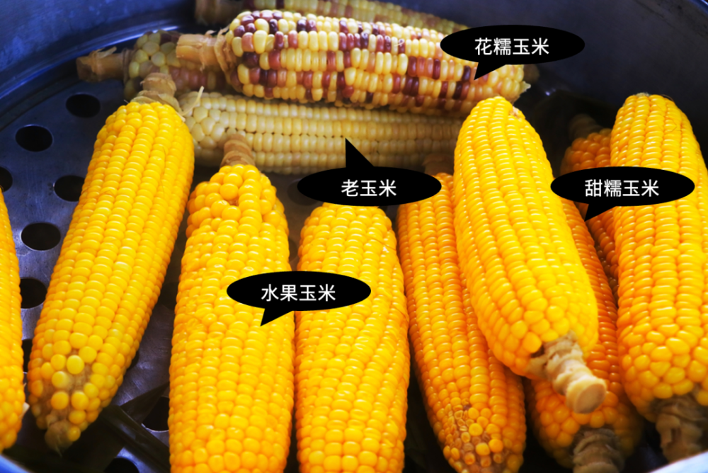 当心！这类粗粮会让血糖飙升_腾讯新闻