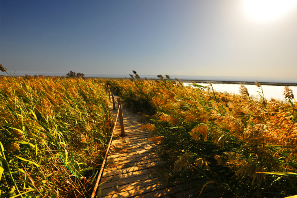 中国旅游日 | 走进艾丁湖,俯听大地之心