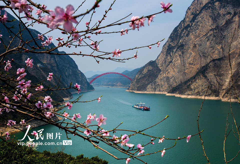 郑坤摄(人民图片网)