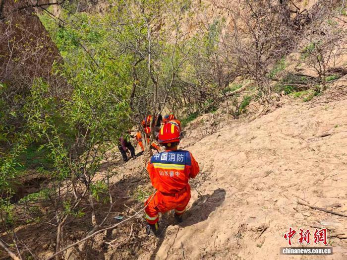 担架救人怎么使用老人摘榆钱坠沟 消防员巧做简易担架救人_https://www.jmylbn.com_新闻资讯_第2张