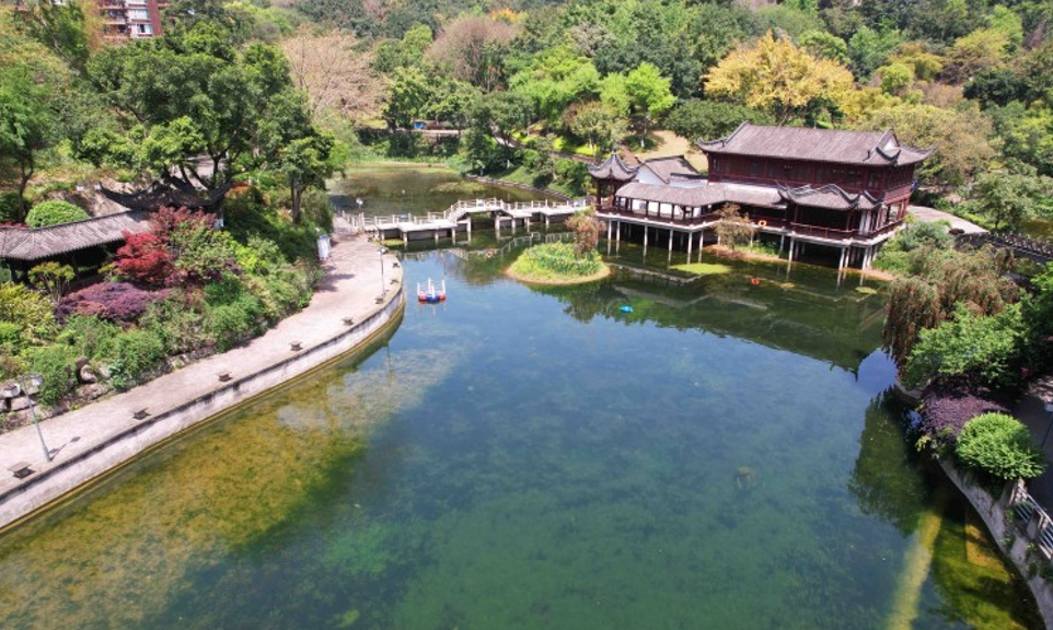 石门公园再现鱼游春水重庆老牌公园旧貌换新颜