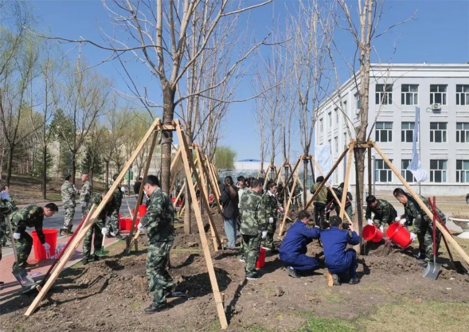 【4·20森工植树日】林区各地:共"植"新绿   同"树"未来
