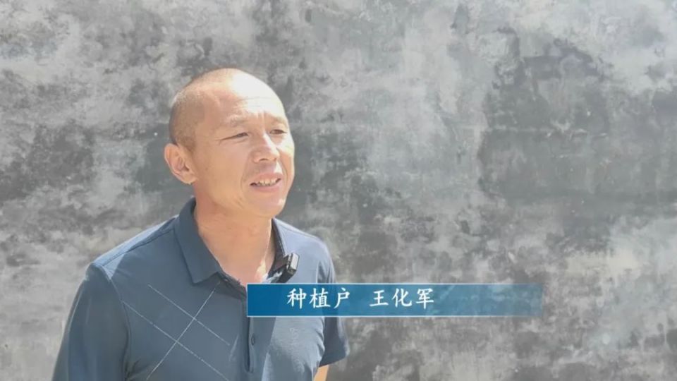 [南方生姜网-图片加载]