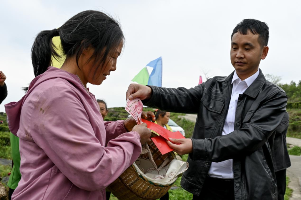 "上春山·品春茗" 息烽县石硐镇举行采茶节活动_腾讯新闻