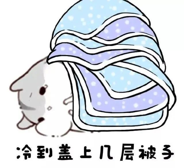 然而,冷空气也正在路上,让崇明平添了几分惬意,舒适.