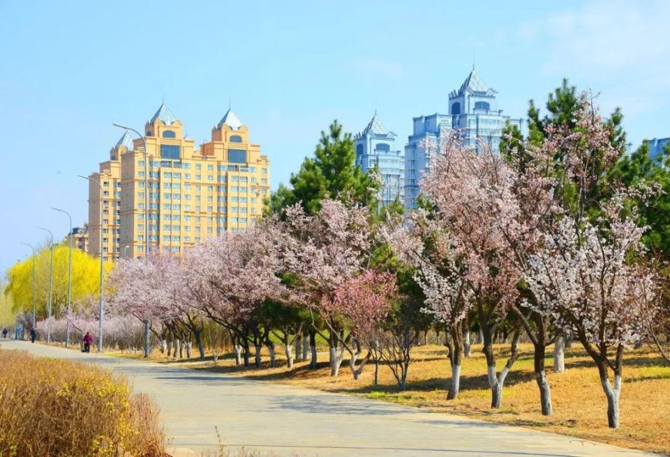 借势起"舞" 渐入佳境——松原市"五一"假日旅游掠影