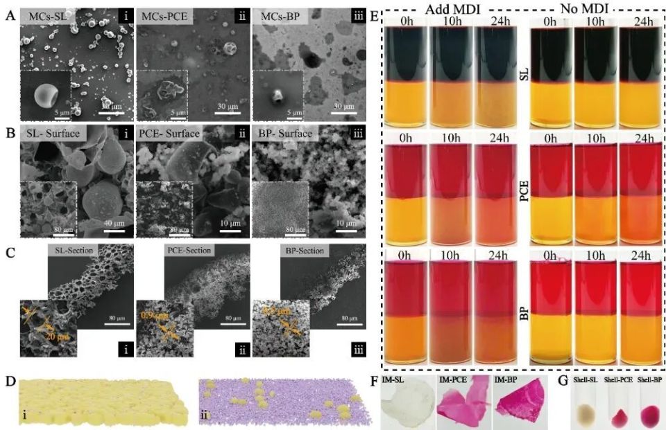 山东农业大学刘峰教授团队ACS Nano：胶束自组装构建微粒囊壳实现农药微囊的酶/机械触发双响应释放_腾讯新闻