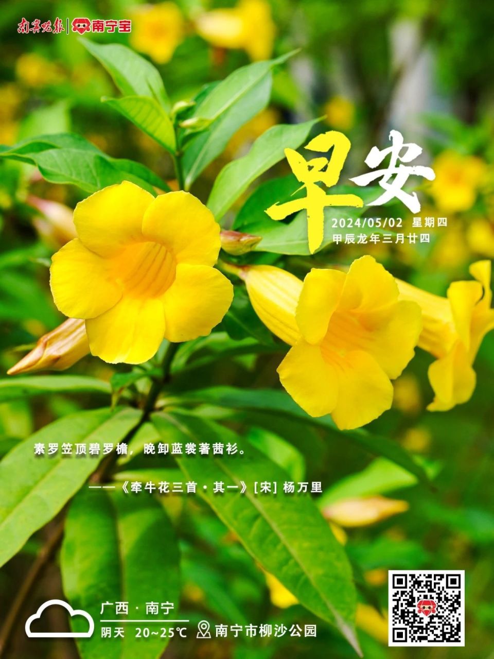 早安 | 2024年5月2日