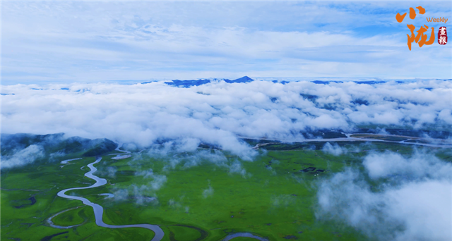 甘南玛曲:玛曲湿地美 黄河润草原