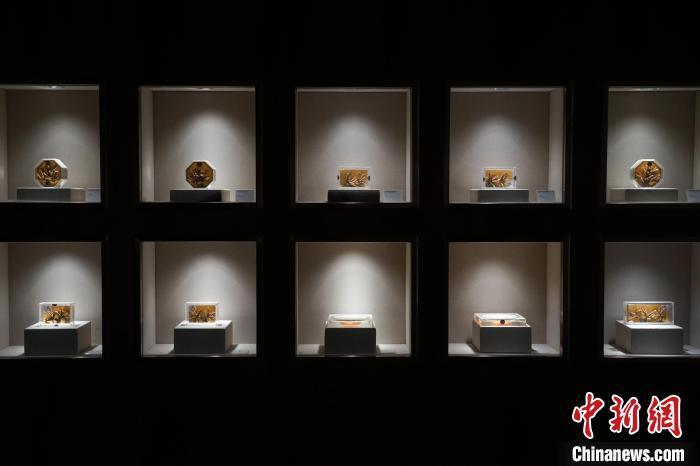 青海冬虫夏草采挖季 民众走进博物馆了解虫草文化