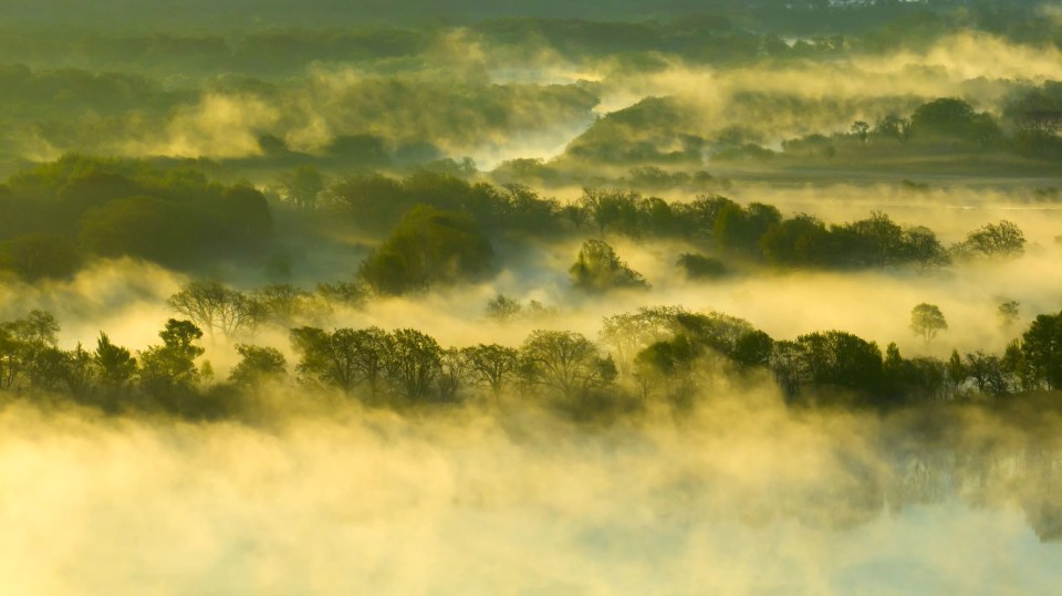沐清风 游龙江|界江晨雾