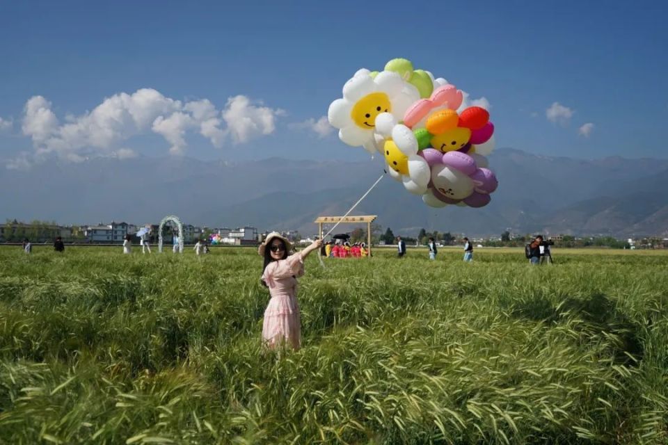 百亩麦田带来"农旅融合"好"丰"景_腾讯新闻