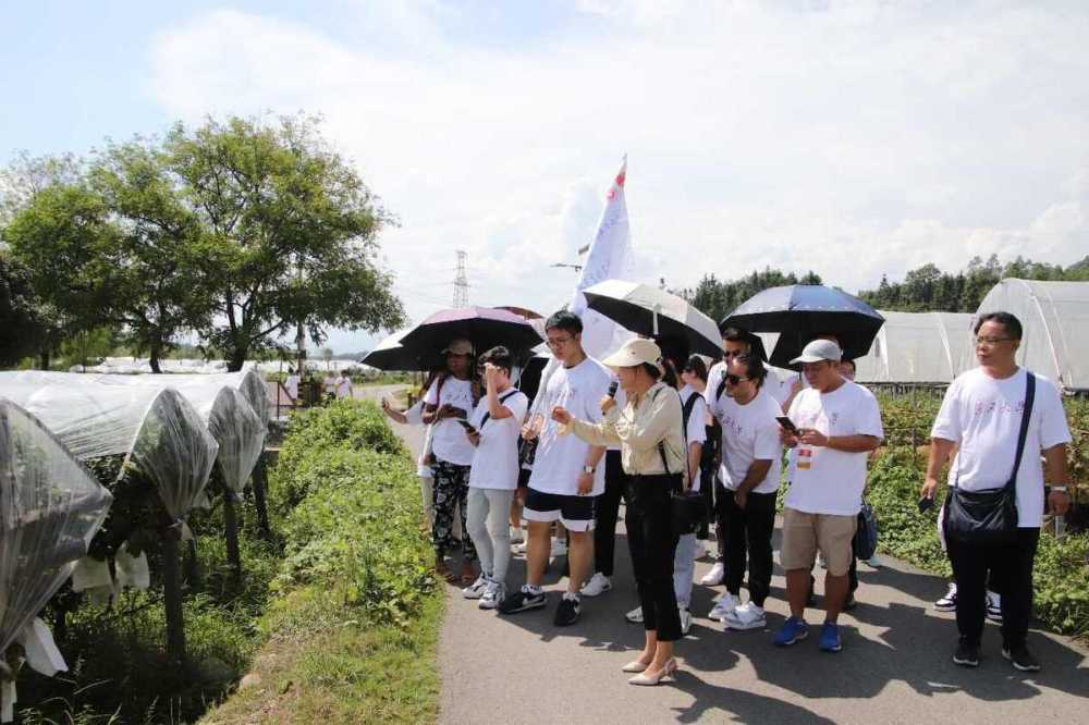 “感知中国·壮美广西行”社会实践活动圆满举办插图11