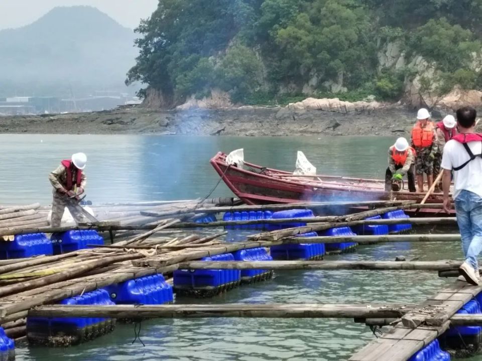 霞浦沙江镇开展海上超规划养殖渔排专项整治行动