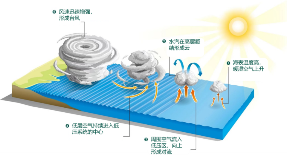 台风生成过程示意图.