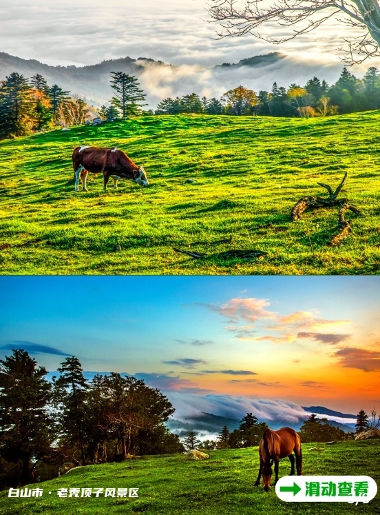 吉林新航线启航,长春直飞阿勒泰!