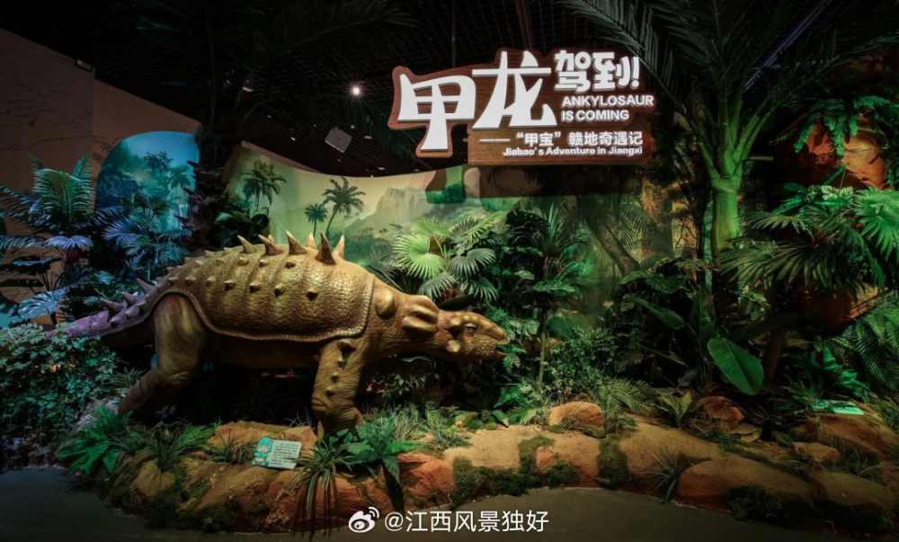 时隔近40年，这种甲龙终于被命名啦！_腾讯新闻