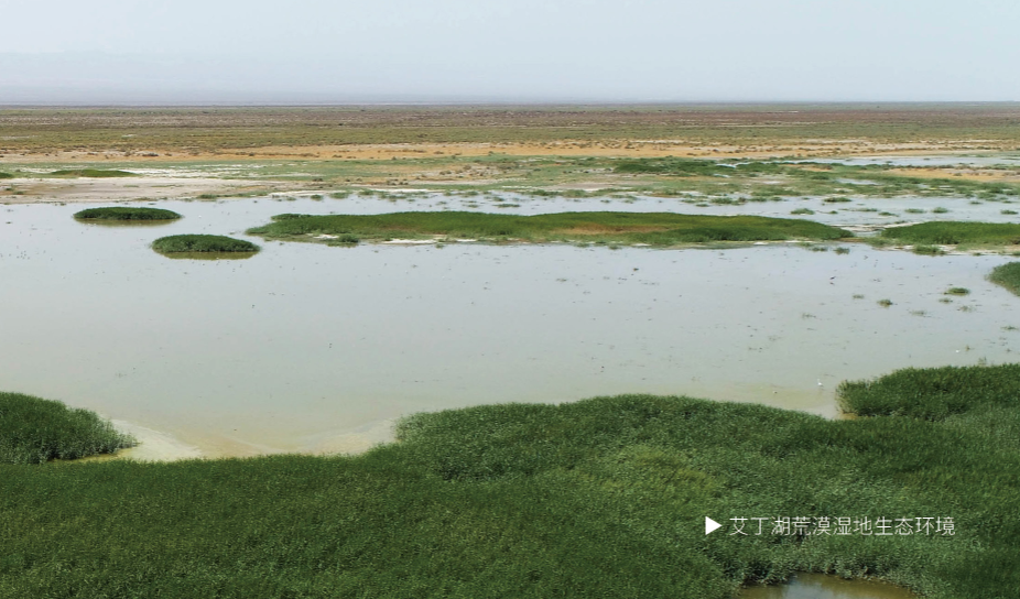 中国旅游日 | 走进艾丁湖,俯听大地之心