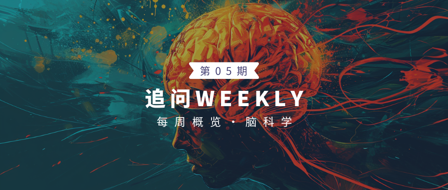 缺氧 医疗机怎么用追问daily ｜ 过去一周，脑科学领域有哪些新发现？_https://www.jmylbn.com_新闻资讯_第1张
