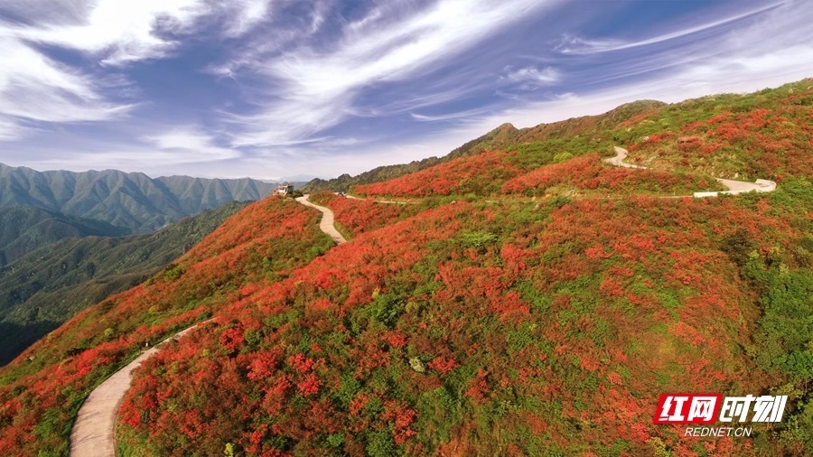 第十五届湖南·阳明山"和"文化旅游节4月23日将启