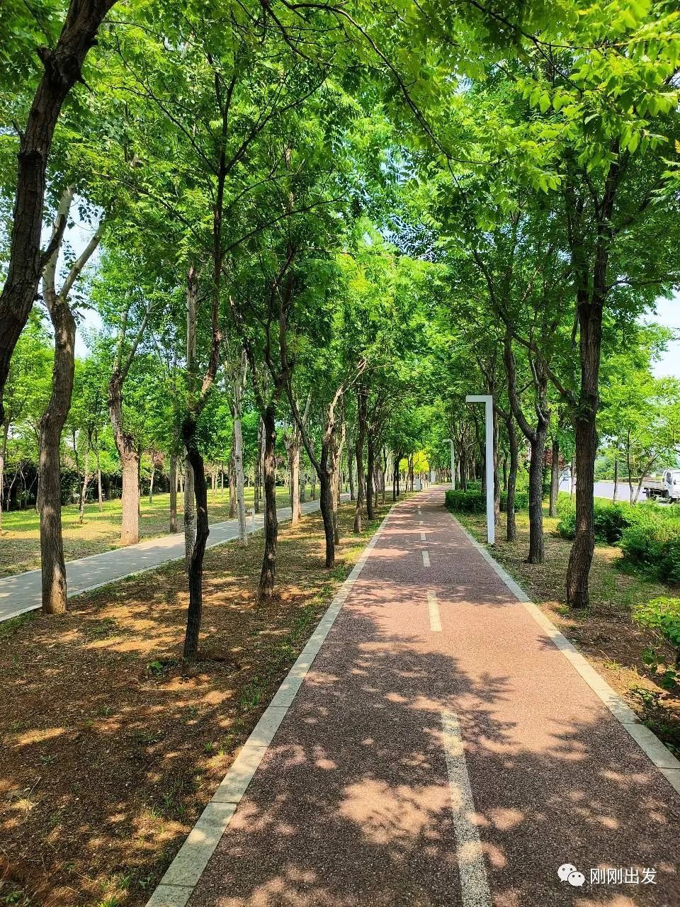 初夏大連看花最好的免費公園董家溝植物園