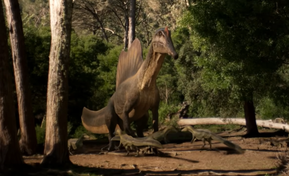 刚出生的小棘龙有多可爱!