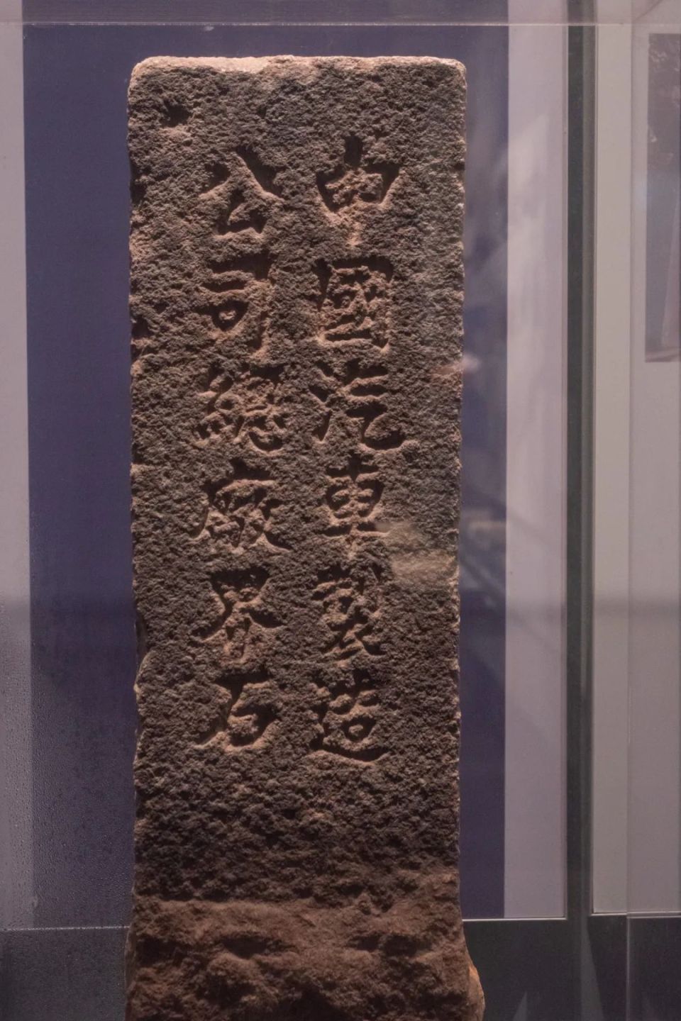 长株潭城际漫游丨霸王龙、越人、大墓、古井、金银器……这个博物馆让人大感震撼-腾讯新闻