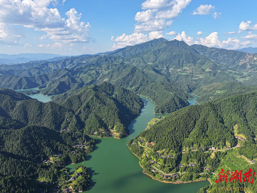 8月7日,城步苗族自治县白云湖水库,郁郁葱葱的森林与碧绿的湖水相映成