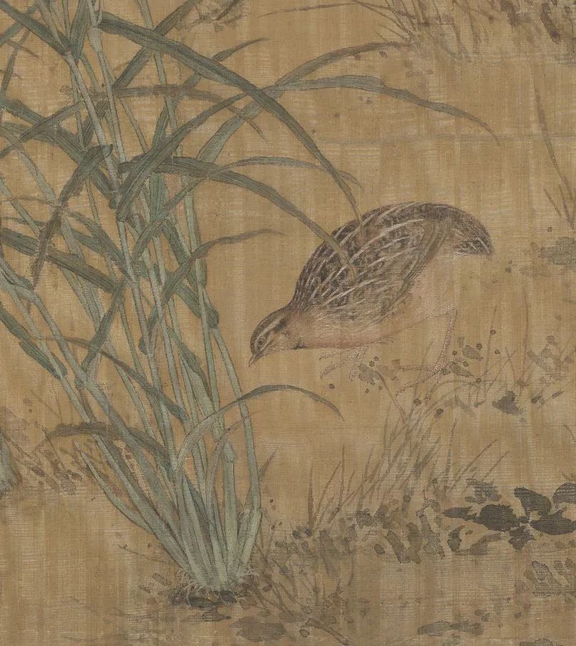 蒋廷锡 瑞谷图 中国画 掛け軸 水墨画 和室 玄関 茶室 壁掛け 美術品
