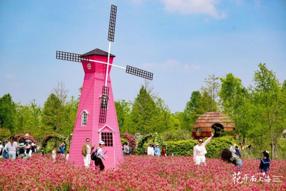 2024上海(国际)花展奉贤会场暨奉贤区全域花展开幕式顺利举行