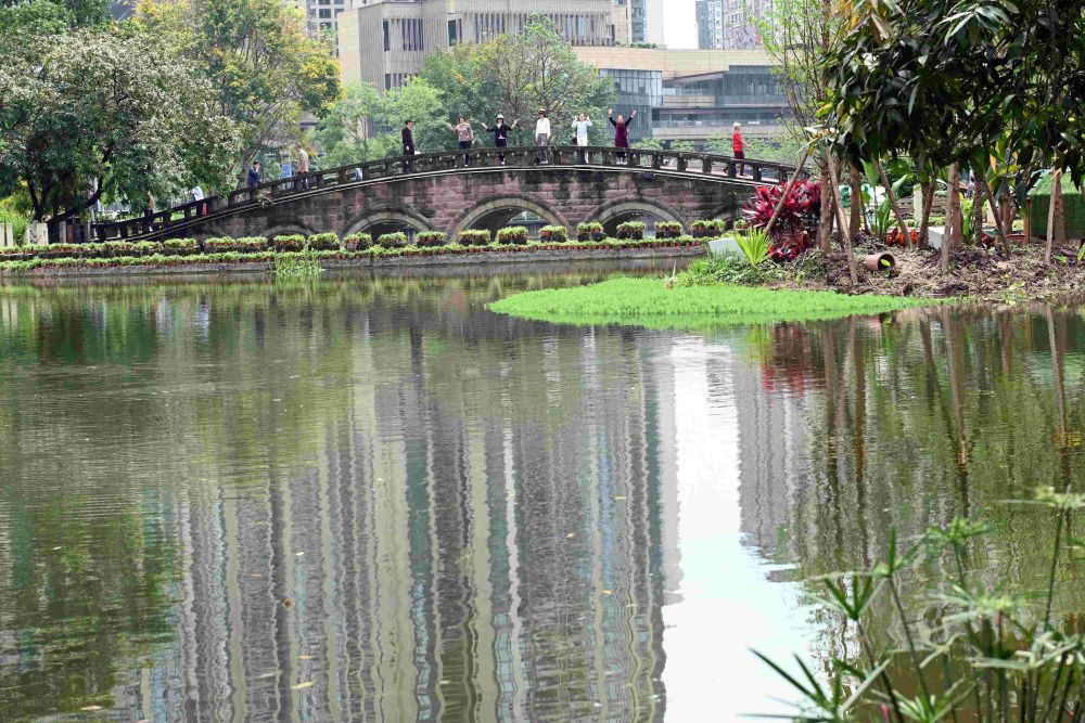 重庆大渡口公园三境融合,成为重庆市民休闲娱乐的好去处