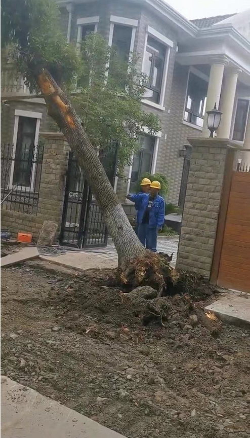 641