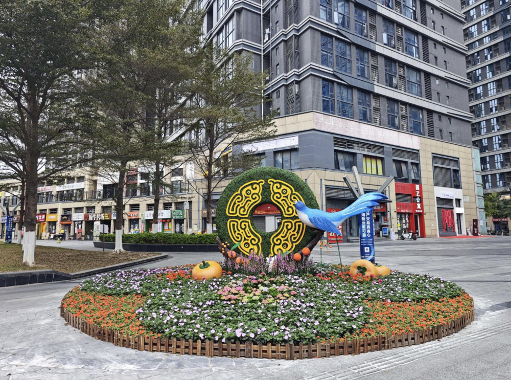 广州荔湾6款新春花坛上新,拍照"打卡"点又有啦_腾讯新闻