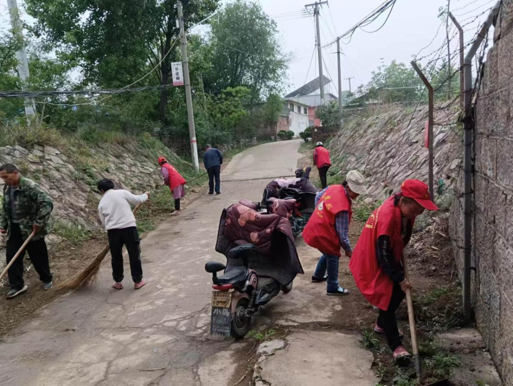 薛城区邹坞镇西山口村开展"信用 "环境整治行动提升乡村"颜值"