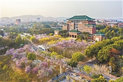 广州五山大学图片