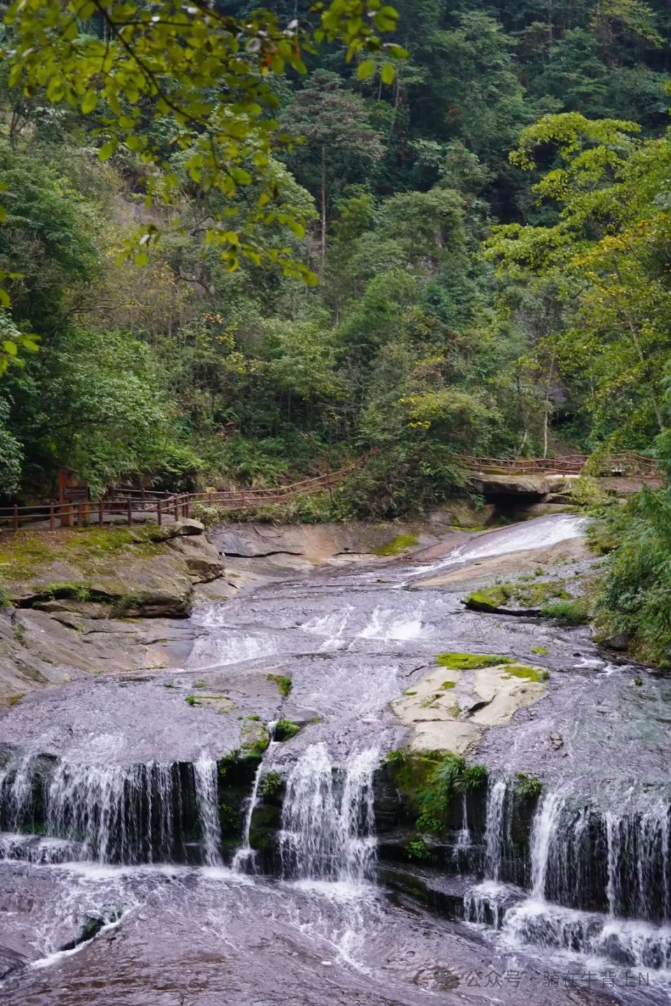 在旅游方面果然现有非常优秀的旅游资源,向太黑洞景区,古郎景区,太平