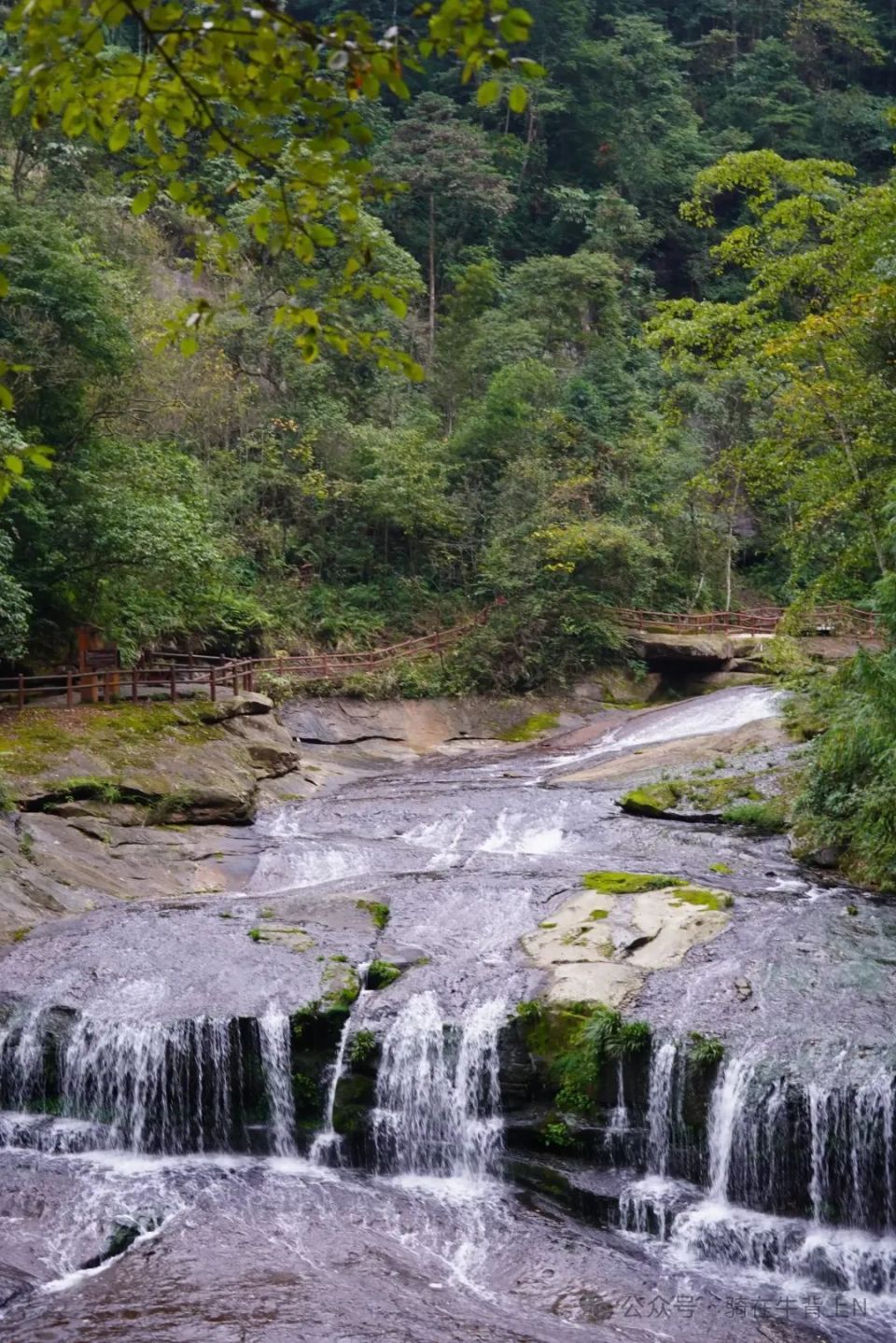 泸水市旅游景点图片