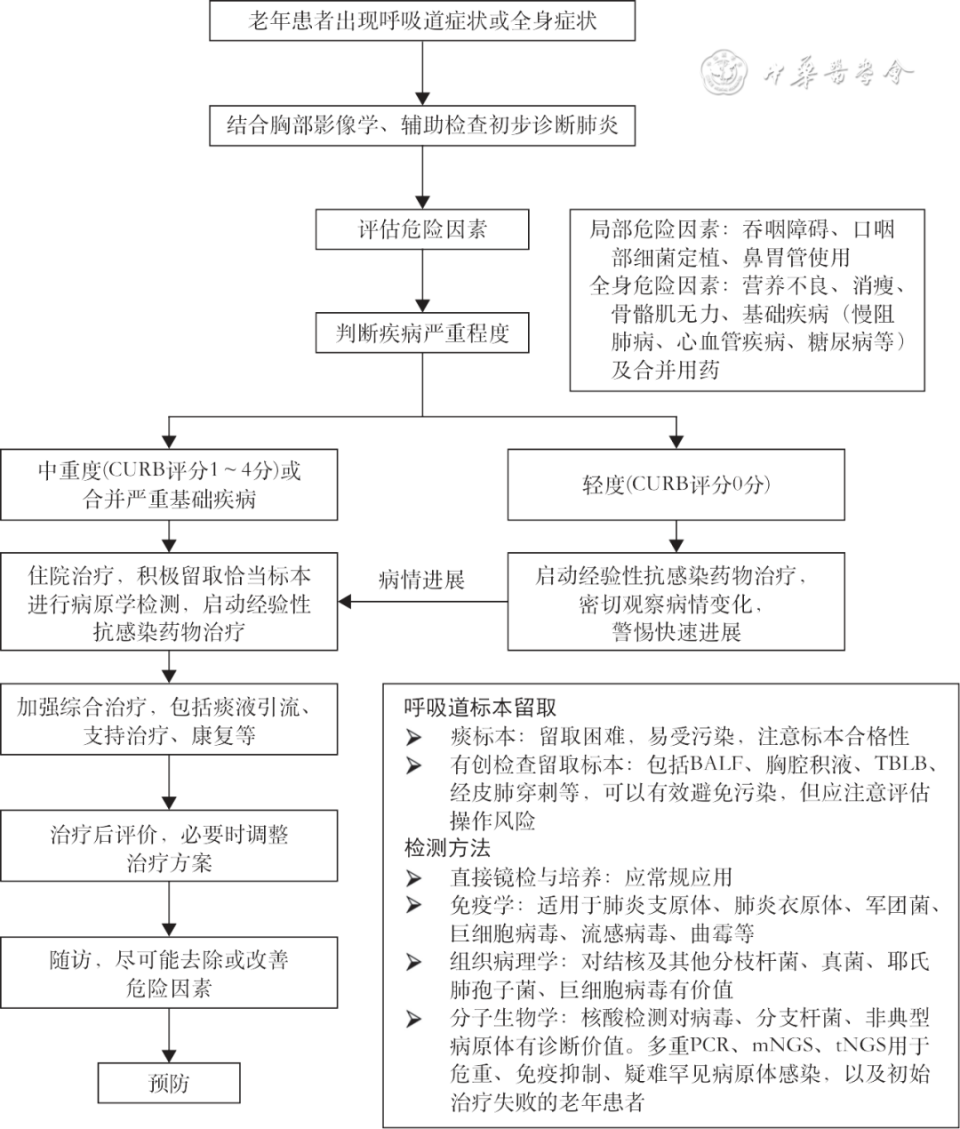 机械通气的指征是什么老年肺炎临床诊断与治疗专家共识（2024年版）_https://www.jmylbn.com_新闻资讯_第3张