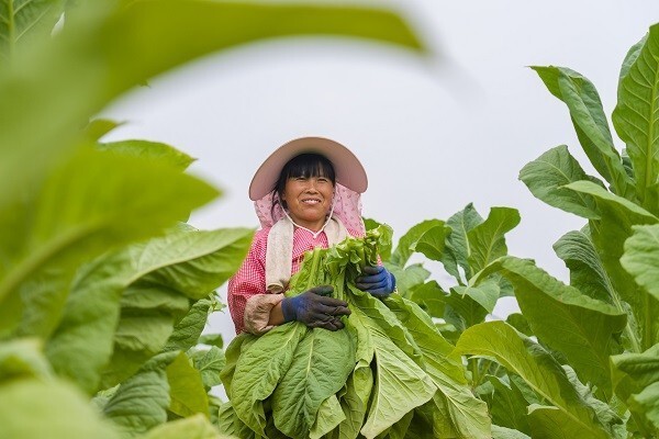 致富三农视频养鱼_三农致富经_致富三农种植