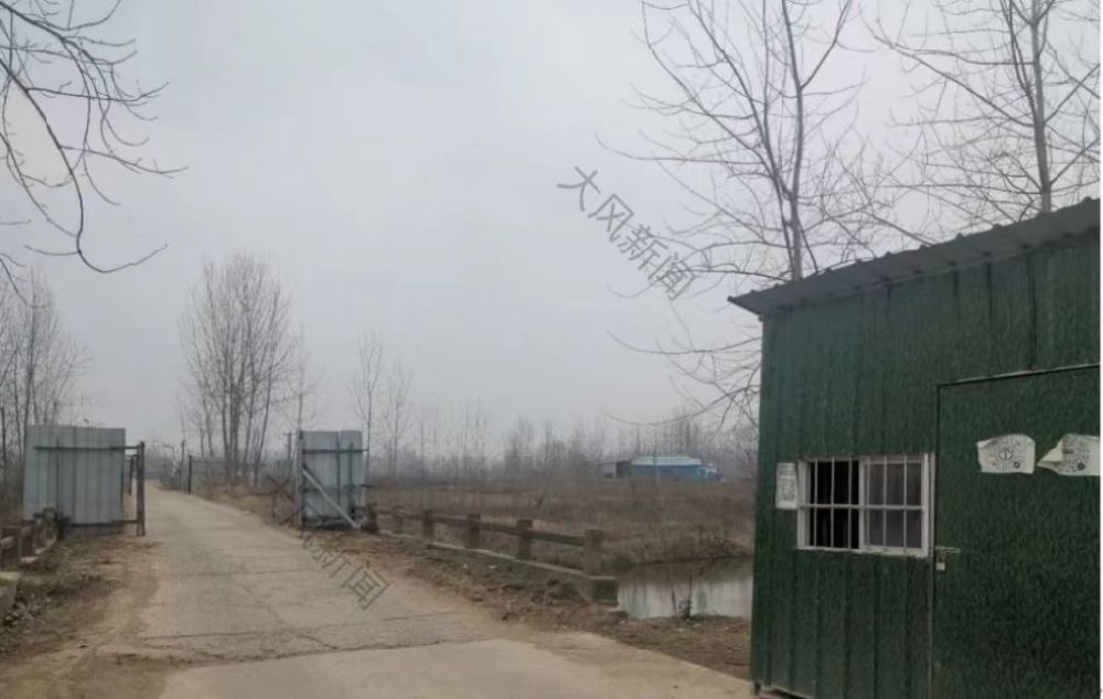 村支书违反防疫规定被判2年，“乙类乙管”实施后提出申诉，法院驳回是怎么一回事-313啦实用网