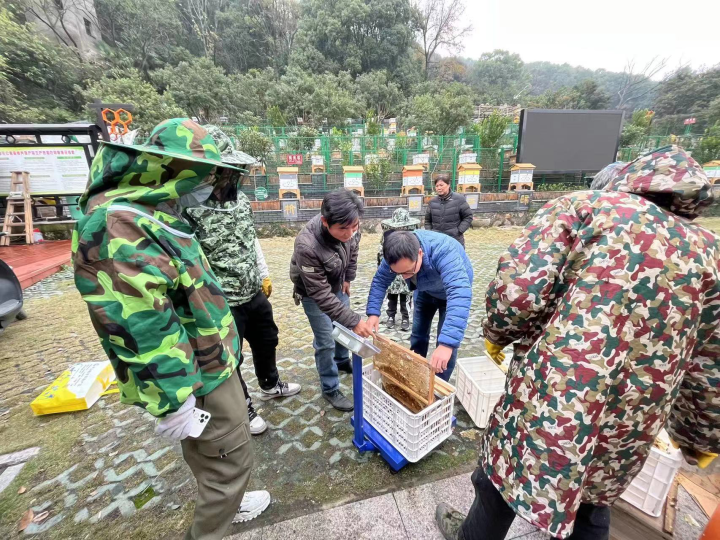 全国科普示范县|立足特色，江山让科普“飞”入寻常百姓家插图44