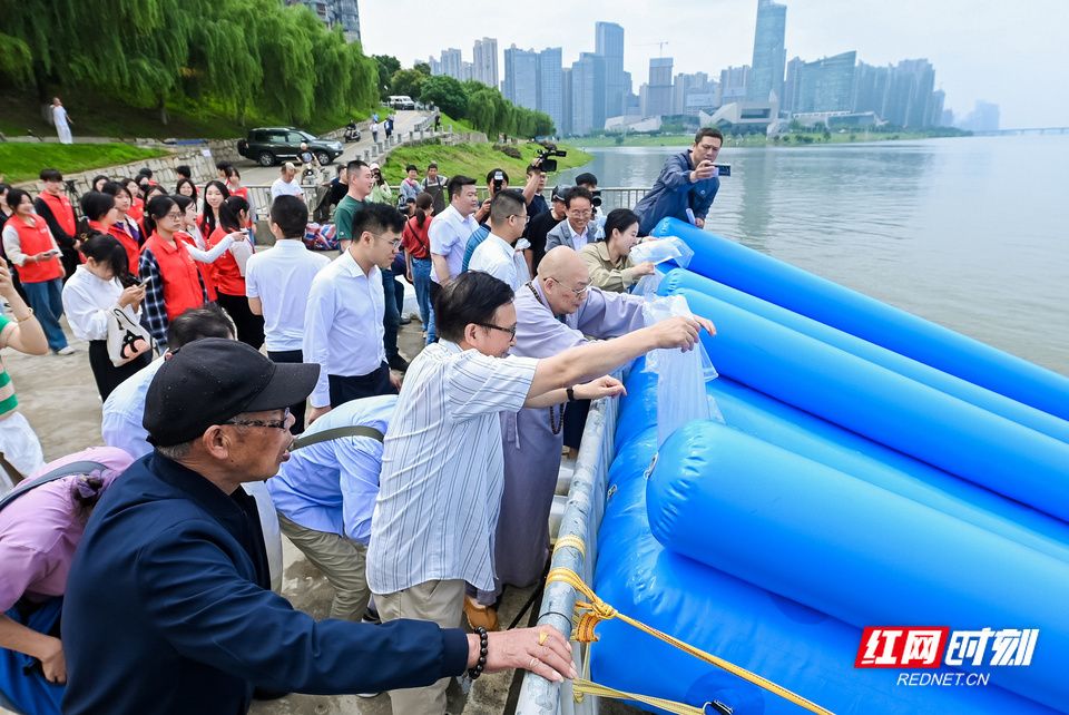 160万尾鱼科学放生!多方共建长沙公益放流站,助力长江濒危鱼类保护