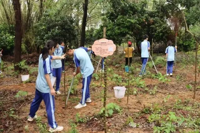 从化区开展集中入团仪式暨植树活动