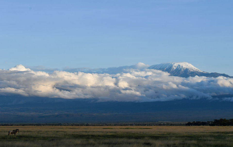 雨季下的肯尼亚安博塞利国家公园_腾讯新闻